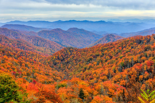 Great Smoky Mountains National Park (Tennessee/North Carolina)
