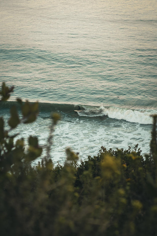 Surfing Point Dume: Malibu’s Hidden Gem