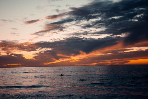 Surfing in Encinitas: Discovering Sea Bluff